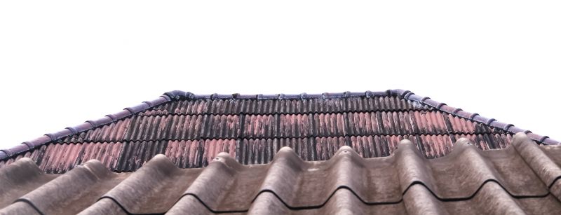 Tile Roof Restoration